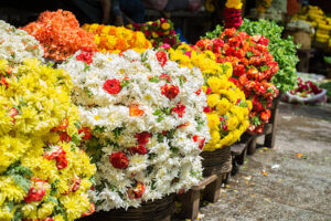 Colorful flowers in the flower market kept for sale.